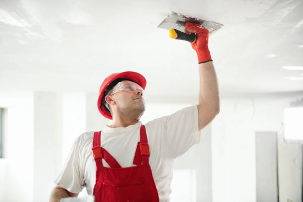 Best Drywall Sanding and Smoothing  in Donna, TX